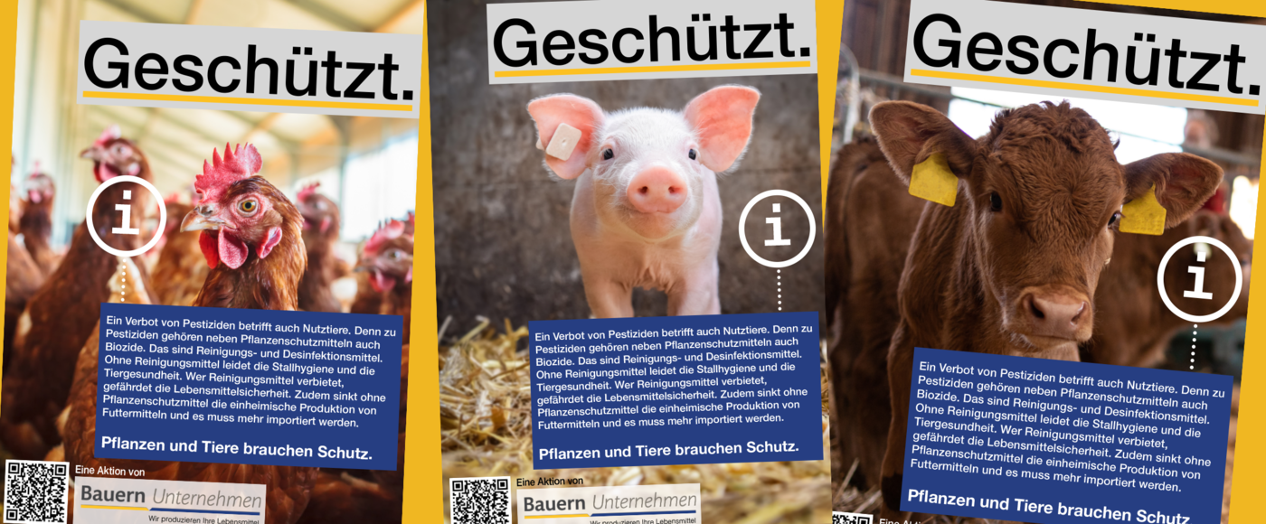 Header Tiere brauchen Schutz